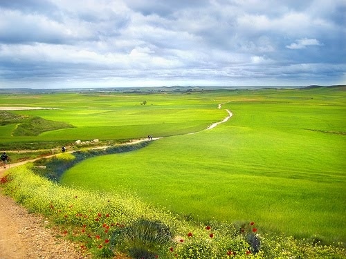 Поледица и ледени висулки