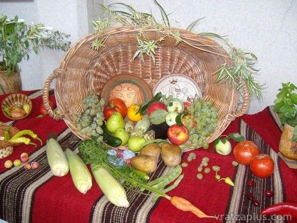 Белослатинска градина