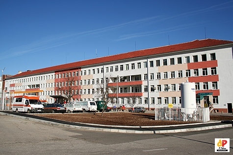 Няма радиоактивно замърсяване на гъби и плодове