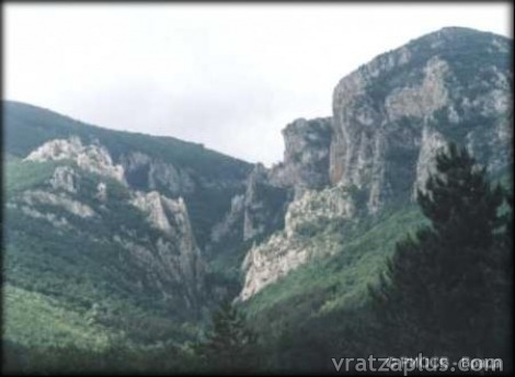 Хванаха двама дървосекачи