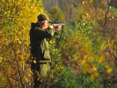 Откриват ловния сезон на пъдпъдъци