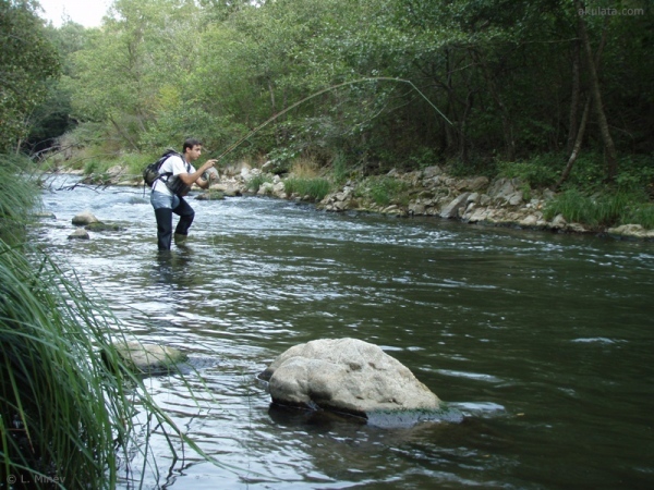 Забраниха улова на пъстърва в Дългоделска Огоста