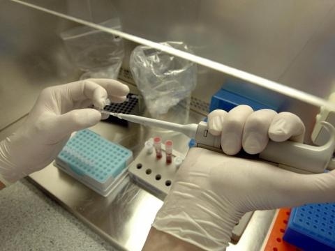 Туберкулоза  в училището в Хайредин