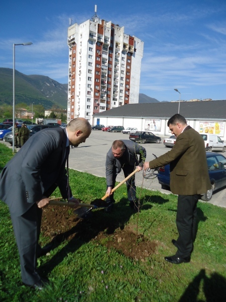 Нови 30 фиданки засадиха във Враца