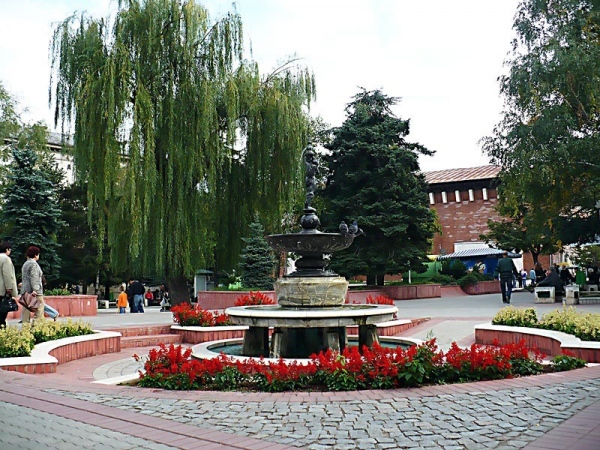 Садят нова върба в центъра на Враца
