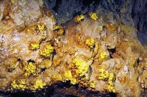 Губим 50 млрд. лв. от неизгодни договори за злато
