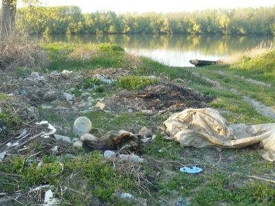 Още едно незаконно сметище край река Дунав