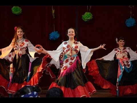 Международния ден на ромите в Монтана