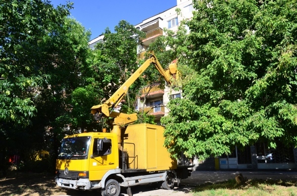 Пръскане срещу гъсеници във видински квартали