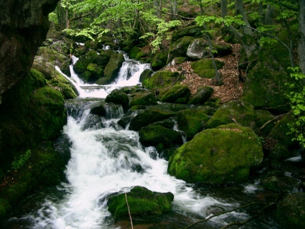 Ловен събор в Чупрене 