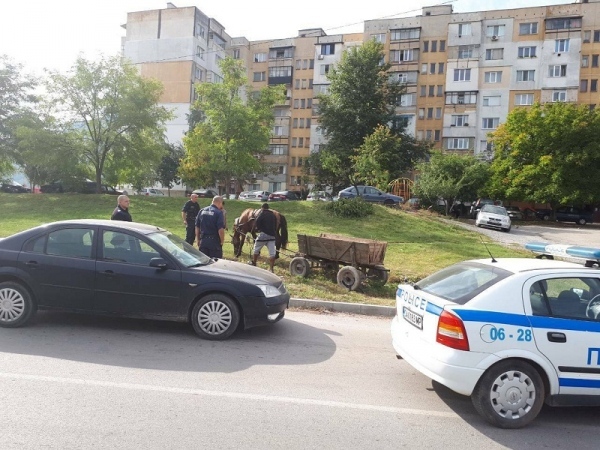 Отново конфискуваха коне и каруци