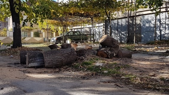 Доставиха дърва за огрев в детски градини и кметства