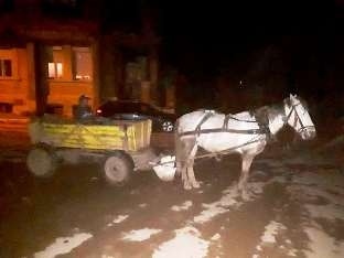 Конфискуваха кон и каруца, засечени в центъра на Враца