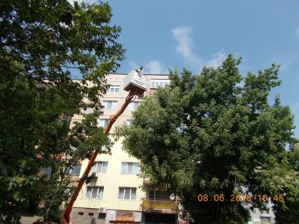 Във Видин пръскат дървета срещу вредители