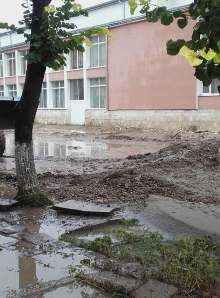 Екипи на АПИ помагат на Мизия 