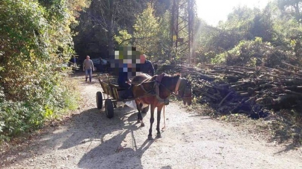 Конфискуваха кон и каруца във Враца