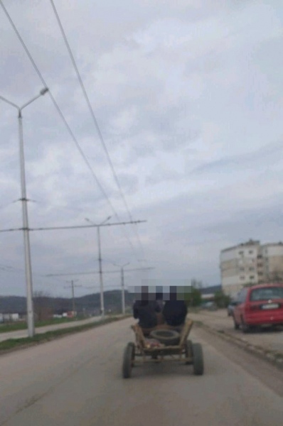 Конфискуваха кон и каруца във Враца