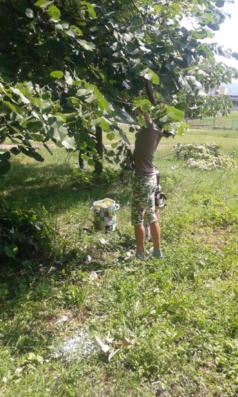Акт за лице, отсичащо клони от дървета