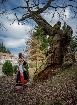 Вековен дъб от Ново село представя България 