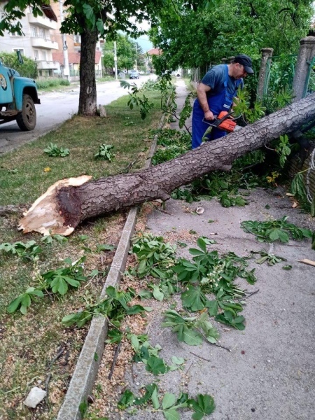 Ураганен вятър нанесе големи щети