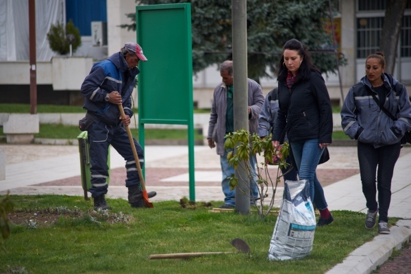 Засаждат стотици декоративни цветя в Мездра