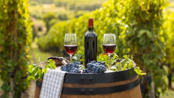 Европа в подкрепа на лозаро-винарския сектор 