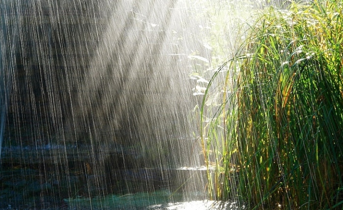 Учени: Дъждът навсякъде на Земята е токсичен