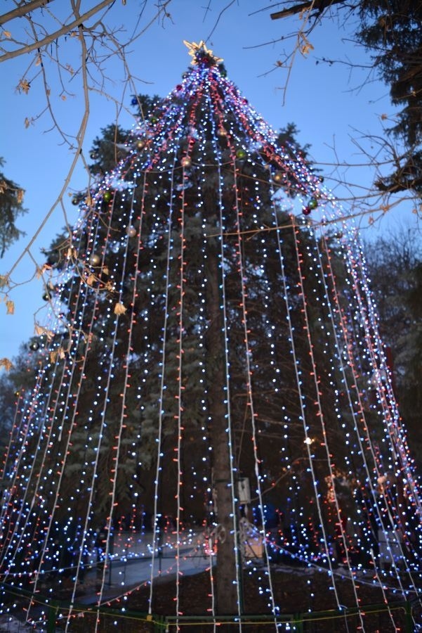 Коледните празници в Монтана ще започнат със светлинно шоу 