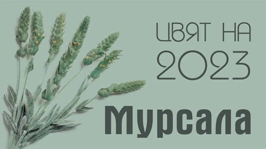 „Мурсала“ е българския цвят на 2023 година