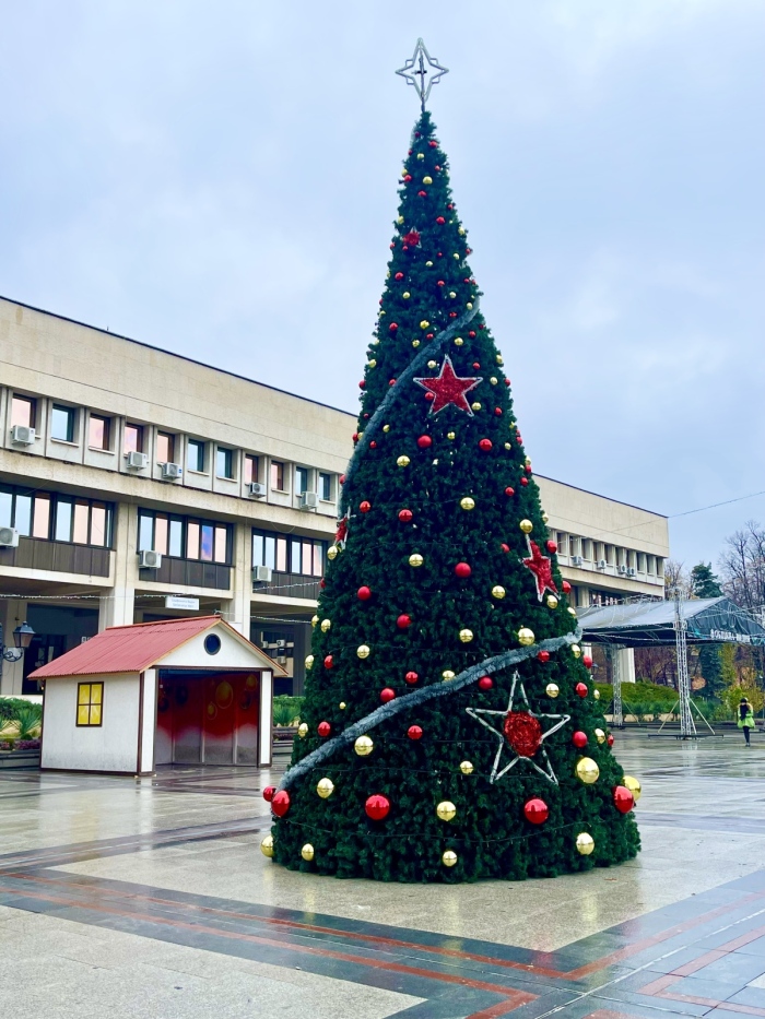 Коледната елха във Видин ще грейне на 9 декември