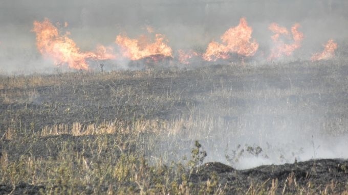 Горски и пожарникари спасиха иглолистна гора в близост до град Априлци