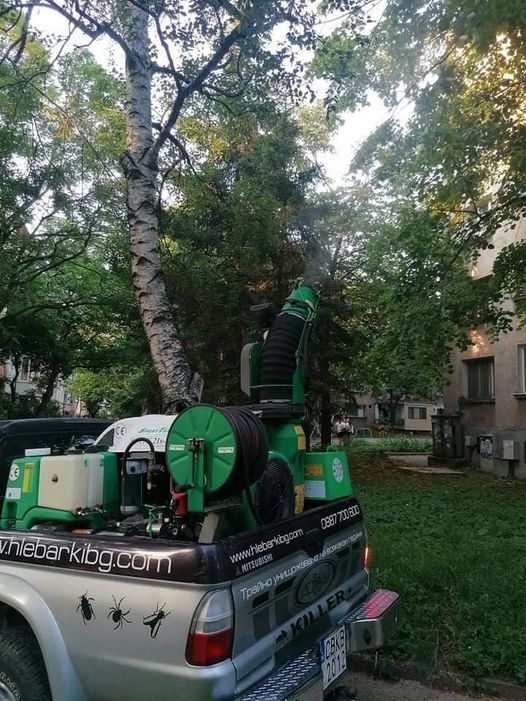 Обработват тревните площи срещу кърлежи и бълхи от 3-ти април
