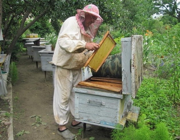 Пчеларите у нас - на кръстопът, заради внос на мед от Украйна