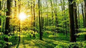 СЗДП започна информационна кампания \