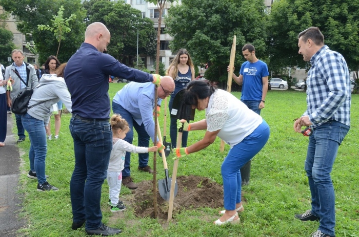Десетки доброволци засаждаха дръвчета във Видин