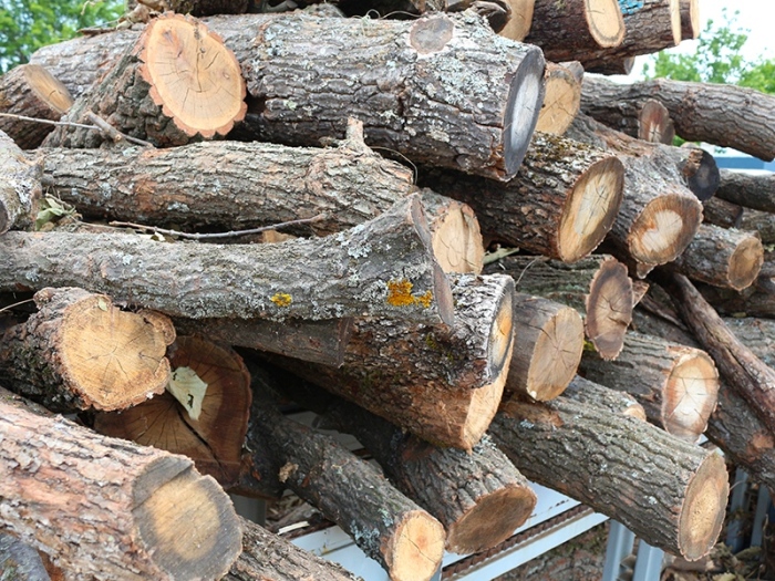 230 пространствени кубика дърва за огрев са конфискувани за първото полугодие в СЗДП