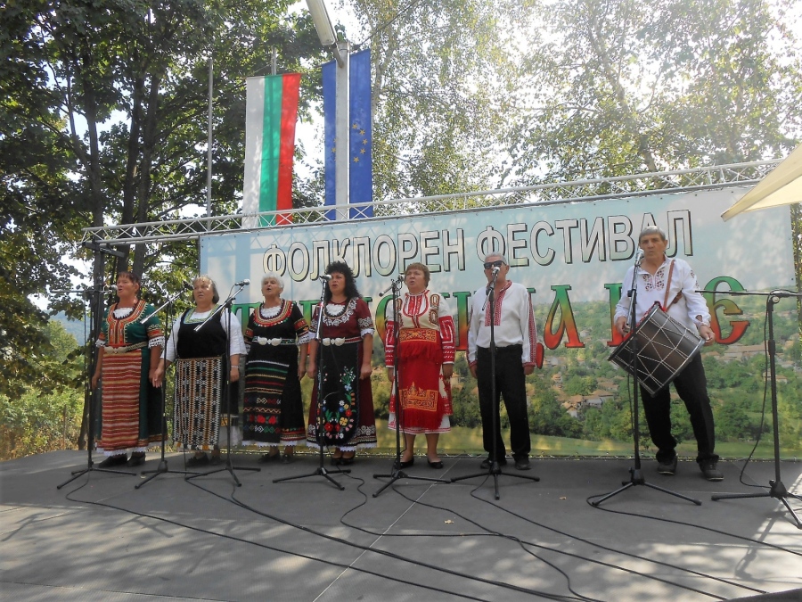 Близо 250 самодейци се изявиха на XV Фолклорен фестивал „Типченица пее” 