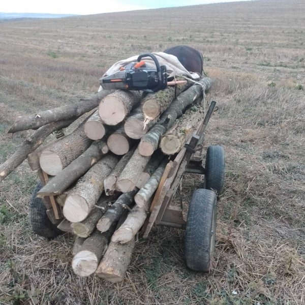 423 проверки в горите на територията на СЗДП за седмица