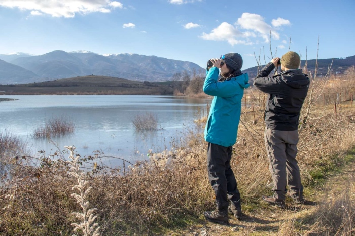 Преброяват зимуващите водолюбиви  птици в България