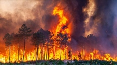 41 пожари за първото полугодие на територията на СЗДП