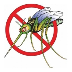 В понеделник пръскат срещу комари в Мездра 