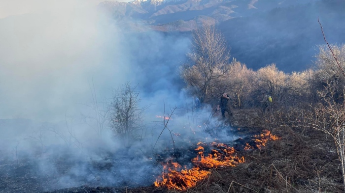 2 300 дка растителност попадна в капана на огнената стихия на територията на СЗДП през юли