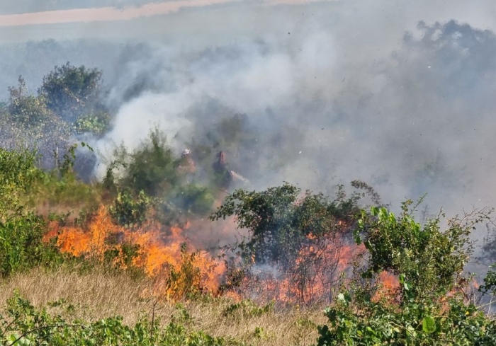 Пожарите на територията на България са овладени
