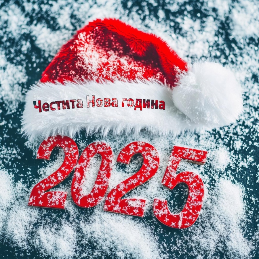 Честита Новата 2025 година!