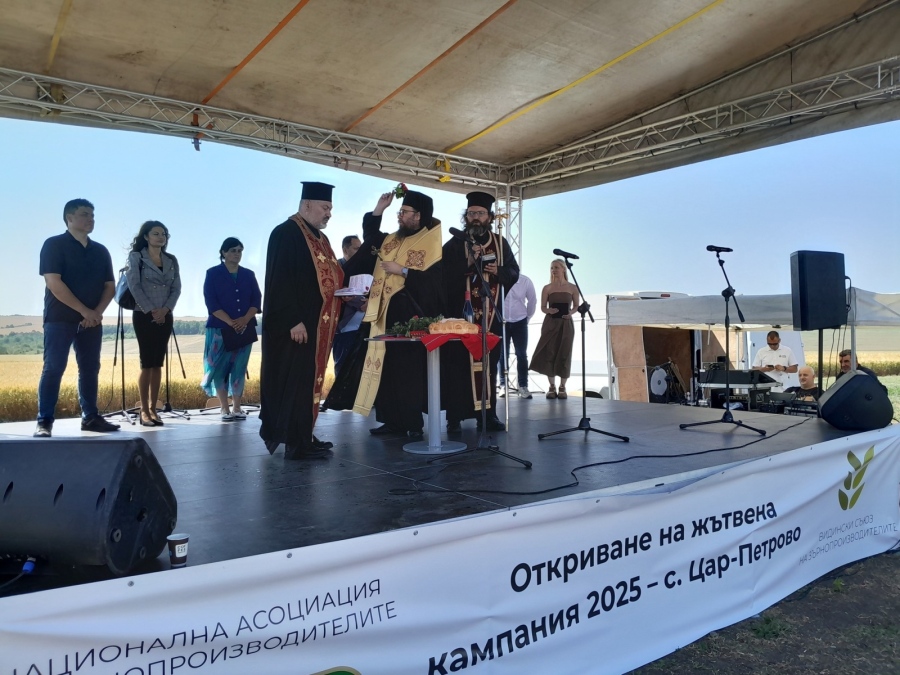 Официалният старт на жътвената кампания за страната бе даден във видинско