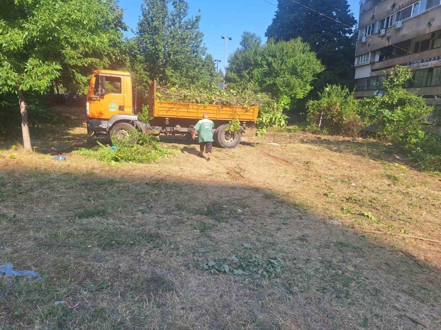 Продължава почистването на междублоковите пространства във Враца