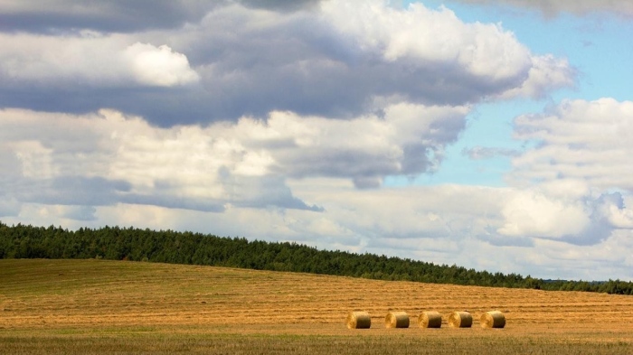 Седмична прогноза за времето от 18-ти до 24-ти август 2025 година