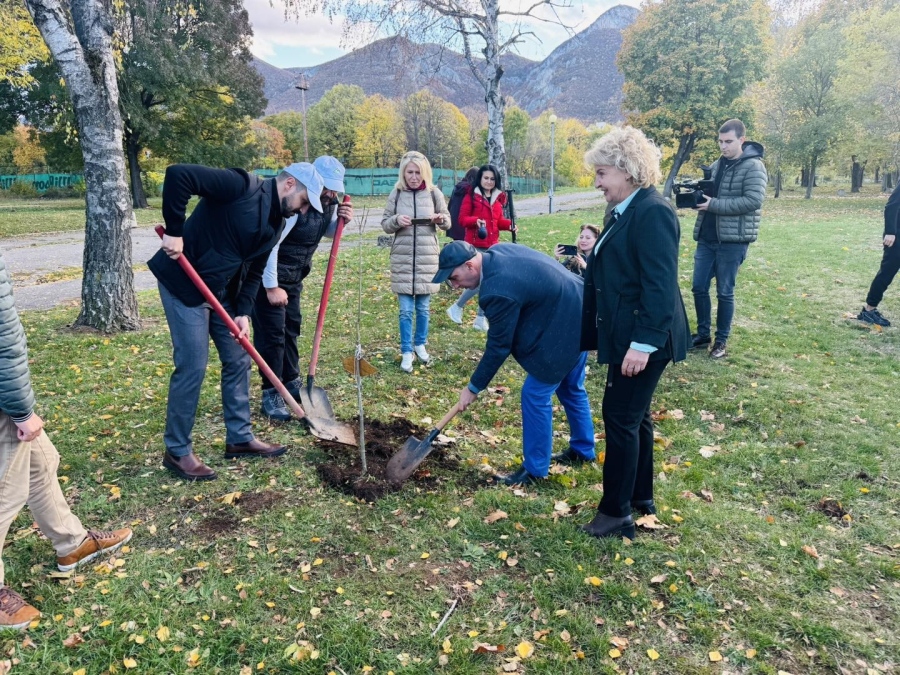 Враца - с Алея на будителите