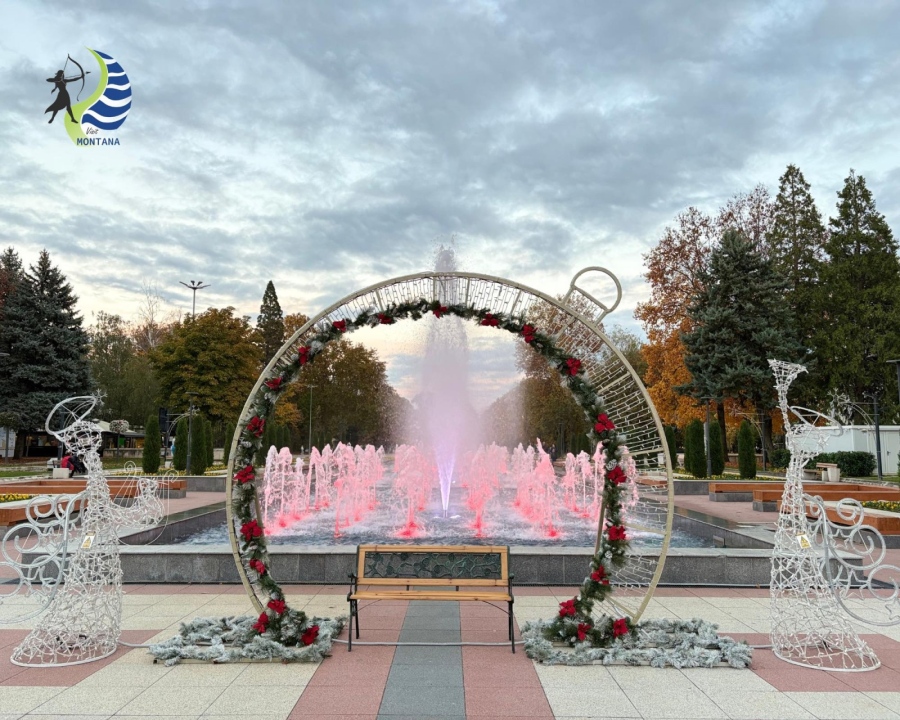 Коледната елха на Монтана засиява с нова украса и празничен спектакъл