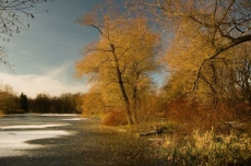 Седмична прогноза за времето /24-30 ноември 2025 година/